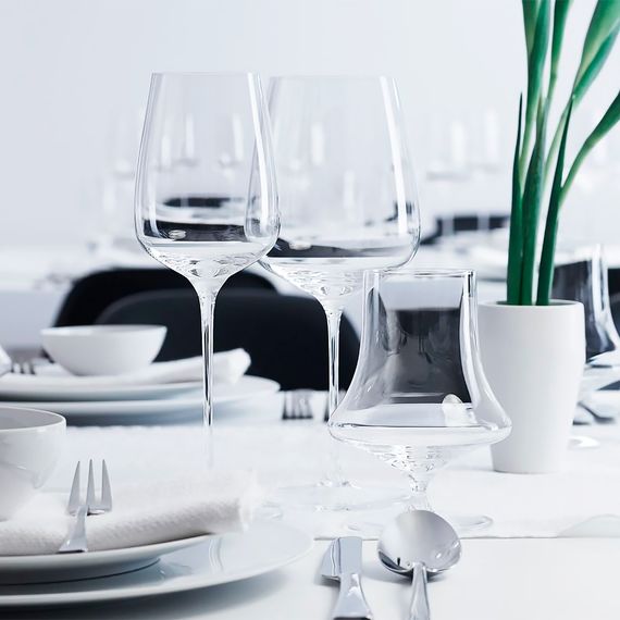 Набор из 2-х бокалов для белого вина Willsberger Anniversary White Wine, 365 мл, 1418002R, Spiegelau, фото , изображение 5