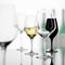 Набор бокалов Authentis Tasting Glass, 4 шт., 320 мл, 4400191, Spiegelau, фото , изображение 2