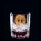 Набор из 12-ти стаканов для виски Double Old Fashioned, 368 мл, прозрачный, бессвинцовый хрусталь, серия Perfect, Spiegelau, фото , изображение 6