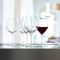Набор бокалов Authentis Red Wine / Water Goblet Set/4, 4 шт., 480 мл, 4400181, Spiegelau, фото , изображение 5