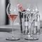 Набор из 6-ти бокалов для игристого вина Spumante Glass, 500 мл, хрустальное стекло, серия Special Glasses, Spiegelau, фото , изображение 4