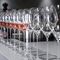 Набор из 6-ти бокалов для игристого вина Spumante Glass, 500 мл, хрустальное стекло, серия Special Glasses, Spiegelau, фото , изображение 3