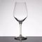 Набор бокалов для дегустации, Authentis Tasting Glass, 12 шт., 320 мл,  4408031, Spiegelau, фото , изображение 2